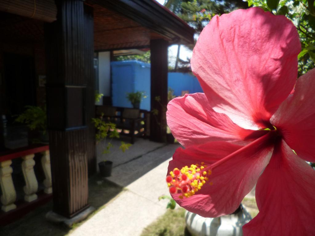 Casakeja Inn Panglao City Exterior foto